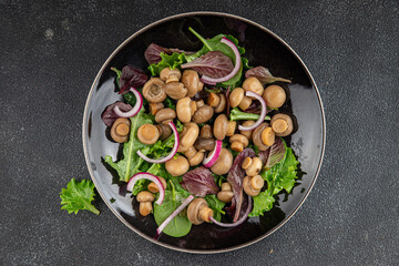 Champignon salad green lettuce canned mushrooms fresh delicious gourmet food background on the table rustic food top view copy space keto and paleo diet vegetarian and vegan food