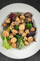 Champignon salad green lettuce canned mushrooms fresh delicious gourmet food background on the table rustic food top view copy space keto and paleo diet vegetarian and vegan food
