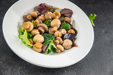 Champignon salad green lettuce canned mushrooms fresh delicious gourmet food background on the table rustic food top view copy space keto and paleo diet vegetarian and vegan food