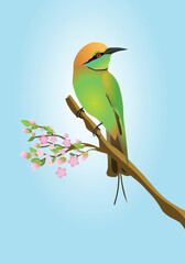 An illustration of a green bee eater. The bird is perched on a branch with some pink blossom.