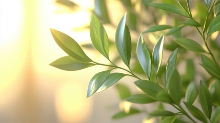 Obraz premium Golden Leaves: Sunlight on Green Foliage