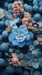 Close-up of a vibrant blue succulent surrounded by similar toned plants and berries
