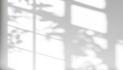shadow overlay effects of realistic window and tree branch shadow with light blur on transparent background,Summer sunlight and shadow overlay effect