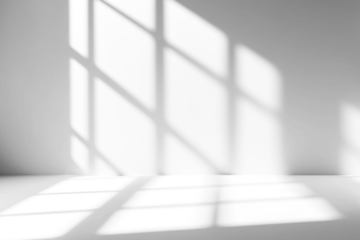 shadow overlay effects of realistic window and tree branch shadow with light blur on transparent background,Summer sunlight and shadow overlay effect