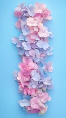Fototapeta premium Pink and Light Blue Hydrangea Blossoms on Light Blue Background