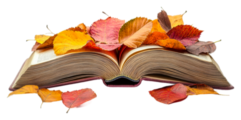 Autumn leaves on open book cozy reading nook nature cut out
