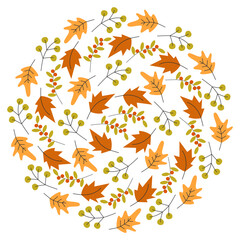 Colorful Autumn leaves Twigs berries Circular Background texture idea Autumn Thanksgiving Day fond