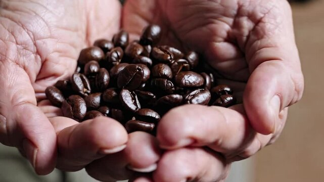 Close-up of a handful of coffee beans.