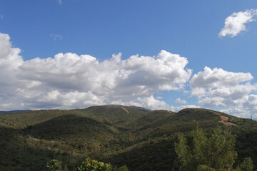 Naklejka premium Natura