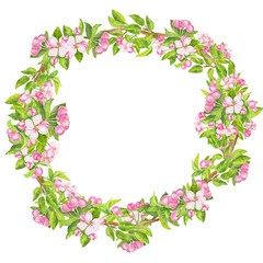 Pink apple flowers, leaves and buds watercolor floral wreath isolated on white.