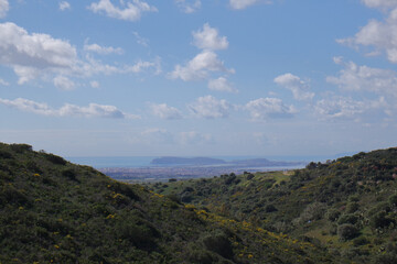 Fototapeta premium Natura