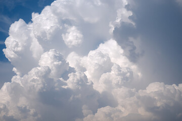 Fluffy white clouds fill the frame against a bright blue sky.  The cumulus clouds are voluminous and textured, creating a sense of vastness and atmospheric beauty.