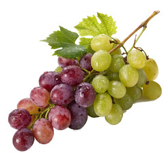 Fototapeta premium A luscious bunch of red and green grapes glistening with morning dew, a vibrant testament to nature's bounty, captured in crisp detail against a pure white background.