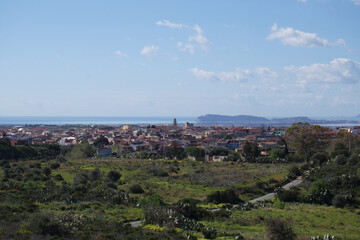 Fototapeta premium Natura