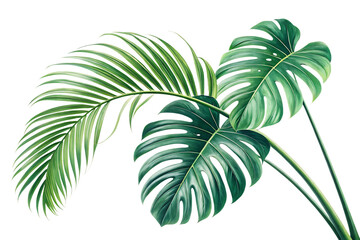 palm tree leaves