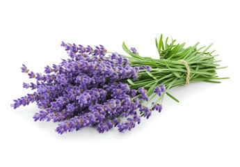 A bouquet of vibrant purple lavender flowers