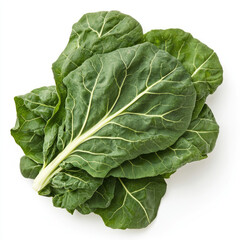 Fototapeta premium Close up view of a pile of fresh green chard leaves on a white surface