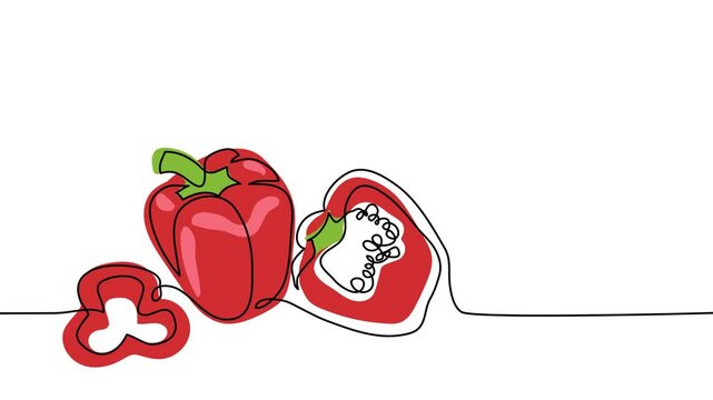 Paprika, bell pepper, red sweet pepper single line animated illustration. One continuous self drawing line animation, footage of paprika