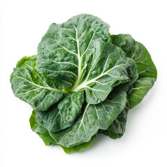 Obraz premium Close up of a fresh collard greens bunch with white background studio shot