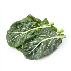 Close up shot of fresh green collard leaves isolated on a white surface