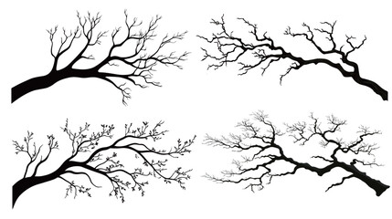 Fototapeta premium Tree branch silhouettes vector design, featuring intricate and naturalistic patterns. The design showcases the elegant form of tree branches, ideal for nature-themed projects, environmental designs, 