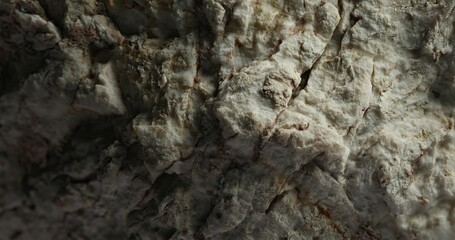 Weathered Rocky Surface with Deep Cracks