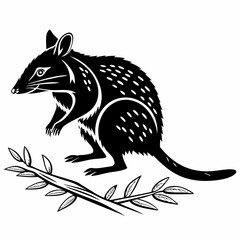Bandicoot black silhouette icon vector