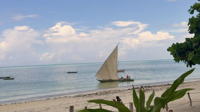a traditional Fisherman Dhow Boat is sailing along the Zanzibar coastline near the beach in Tanzania, with beach in front and Indian Ocean in the background - 4k video footage