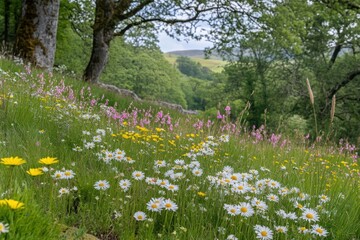 Flowers nature meadow trees.