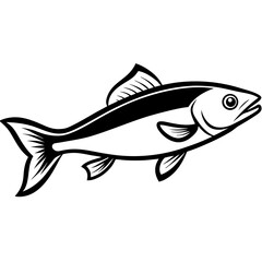 Fototapeta premium Haddock Fish Vector | High-Quality Digital Illustration for Seafood & Marine Designs