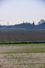 Dry fields in polders reveal effects of low rainfall on agriculture near urban skyline
