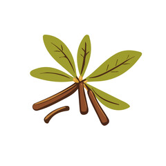 A Flat 2D illustration of a clove WITH leaf isolated on a white background, vector 2D design, icon, Simple flat 2d illustration art. eps format