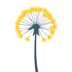 Flat 2D illustration of a dandelion root branch isolated on a white background, vector 2D design, icon, Simple flat 2d illustration art. EPS format illustration