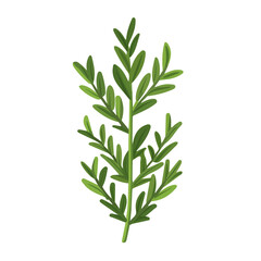 A flat 2D illustration of rosemary isolated on a white background, ai, flat 2d design, ideal for animation, UI/UX design, mobile apps, web design, digital illustrations