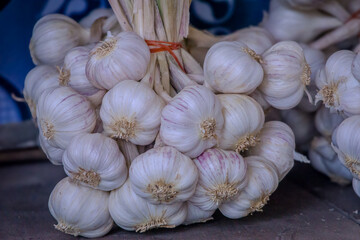 Fresh Garlic Bundle
