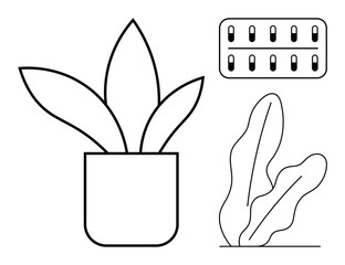 Three botanical elements in black line art style potted snake plant, abstract leaf outlines, and modular herb garden. Ideal for nature, decor, gardening, eco concepts, sustainability, modern art