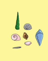 set of shells