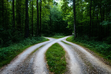 Obraz premium Aerial view of a crossroads in a forest