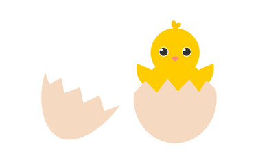 Hatching hatchling chick on white background. Happy Easter card. Cracking Easter egg. Vector illustration.