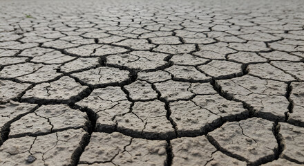 Cracked Earth Textures: A Visual Study of Arid Landscapes and Drought Patterns