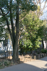烏山川緑道中村橋（東京都世田谷区経堂１丁目）