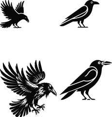 set of silhouettes of birds A collection of crow bird silhouettes, predominantly crows or ravens crow setting on a branch line art silhouette vector Flying Crow Bird Silhouette Design And Vector Illus