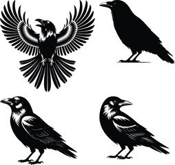 set of silhouettes of birds A collection of crow bird silhouettes, predominantly crows or ravens crow setting on a branch line art silhouette vector Flying Crow Bird Silhouette Design And Vector Illus