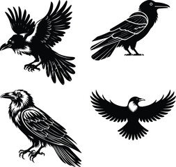 set of silhouettes of birds A collection of crow bird silhouettes, predominantly crows or ravens crow setting on a branch line art silhouette vector Flying Crow Bird Silhouette Design And Vector Illus