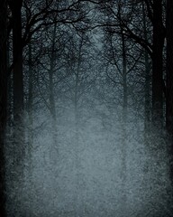 Obraz premium Misty Forest Pathway with Dark Trees and Ethereal Atmosphere