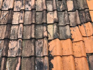 Rooftiles that have been eaten away by age. pattern rooftile,rows of rooftiles lined up