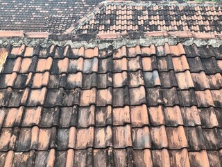 Rooftiles that have been eaten away by age. pattern rooftile,rows of rooftiles lined up