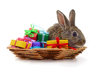 Little bunny in the basket with gifts.