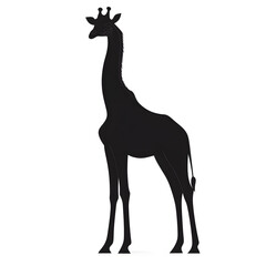 Fototapeta premium Black Silhouette of a Standing Giraffe vector style illustration isolated on white background