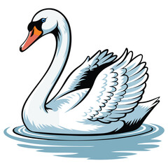 Swan floating on water